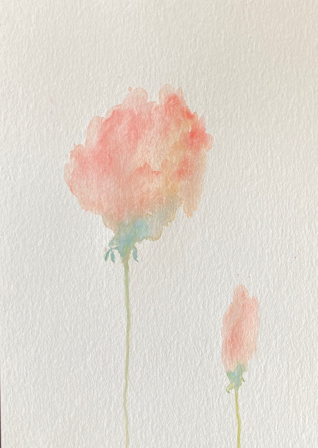 Deep Looking — Lynne Cameron Artworks