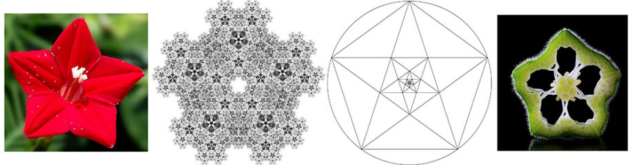 Drawing a pentagon in geometry, architecture and history – Veronica Winters Painting