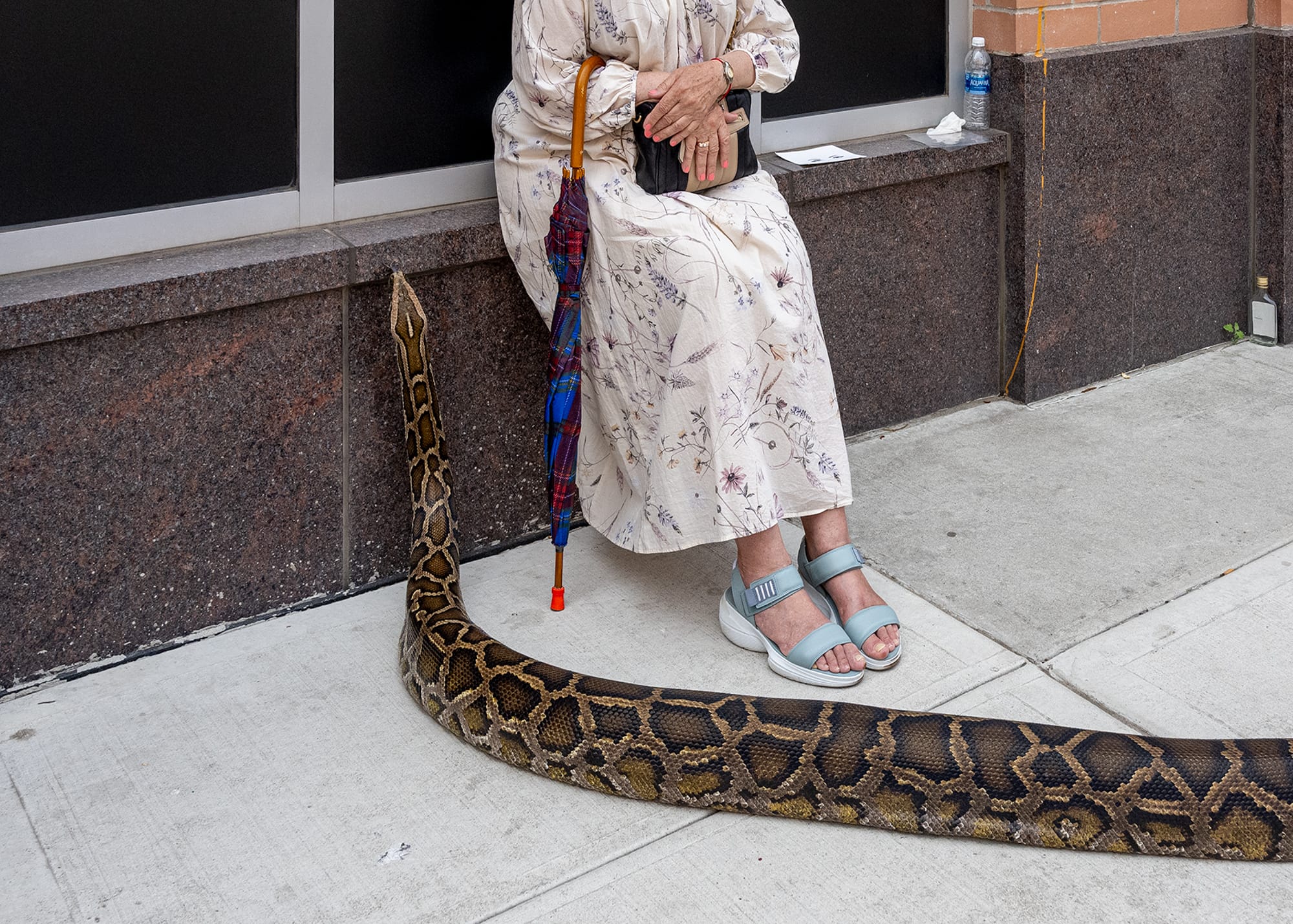 The Pure Street Photography Competition Spotlights Humor and Chance Amid the Ordinary — Colossal