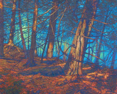 Thomas Paquette – Haven – Lines and Colors